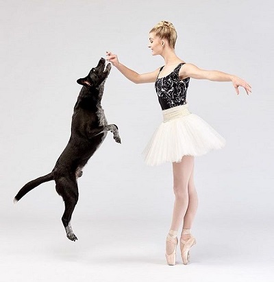 Woofland - Αστείες φωτογραφίες σκύλων που χορεύουν - Γουφαμάρες 1
