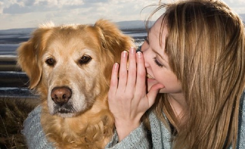 Woofland - Πως ερμηνεύει ο σκύλος τα λόγια μας - Επιστήμη και ενημέρωση