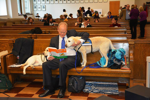 Woofland - Σκύλοι βοηθούν τα θύματα να καταθέσουν στα δικαστήρια - Σκύλοι βοηθοί και εργασίας