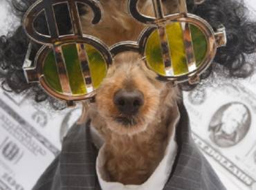 Woofland – Ιστορίες για σκύλους – Ο Γκαστόν πλούσιος 61