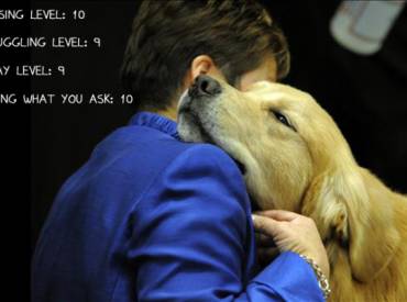 Σκύλοι και αγκαλιές – Αστείες φωτογραφίες σκύλων