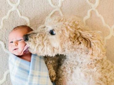 Σκύλος και παιδιά – Αστείες φωτογραφίες σκύλων