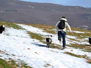 Συμβουλές για χειμερινές βόλτες με τον σκύλο σας – Σκύλος και χειμώνας