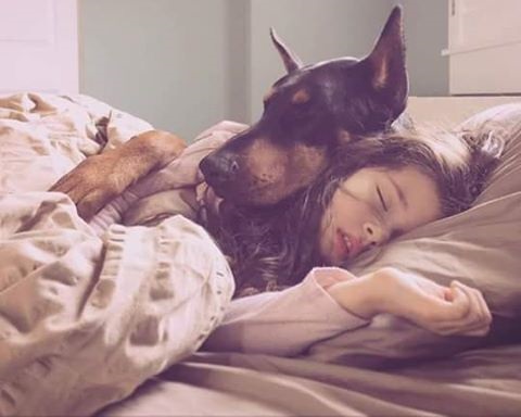 Woofland - Σκύλοι και παιδιά κοιμούνται μαζί