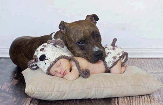 Woofland - Σκύλοι και παιδιά κοιμούνται μαζί 11