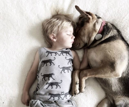 Woofland - Σκύλοι και παιδιά κοιμούνται μαζί 4