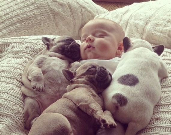 Woofland - Σκύλοι και παιδιά κοιμούνται μαζί 5