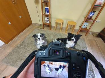 Βίντεο: Πως να φωτογραφίσω τον σκύλο μου